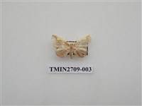 藏品(尺蛾256)的圖片